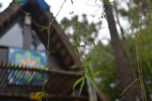 La Pedrera Uruguay Réservation Réduction booking.com