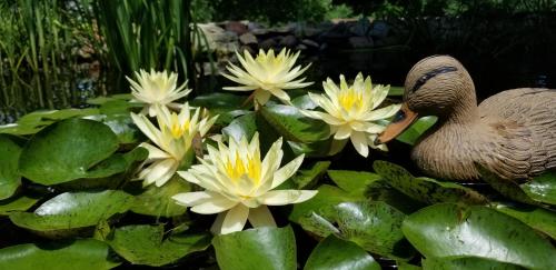 Marquette (IA) United States Booking Discount agoda.com