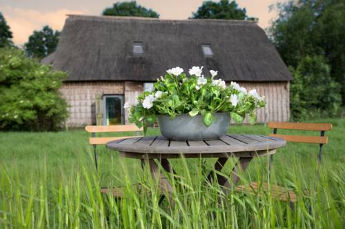 Nieuw-Schoonebeek Netherlands Booking Discount booking.com