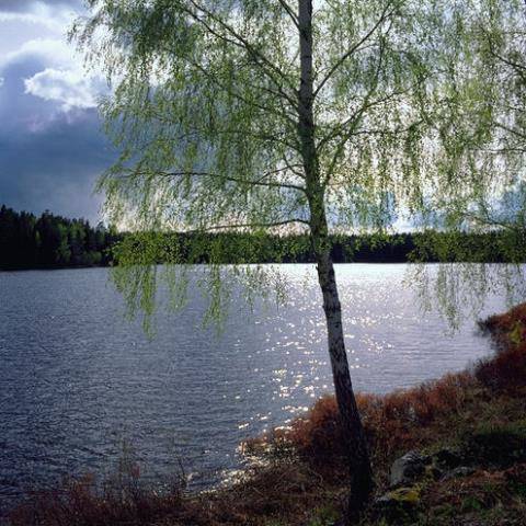 Cabo Frio Brésil Réservation Réduction booking.com