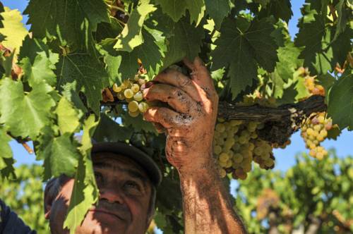 San Gimignano Italy Booking Discount booking.com