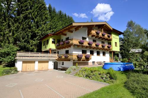 Viehhofen Austria Booking Discount booking.com