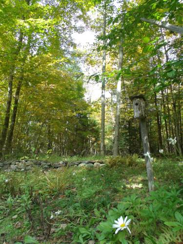 Westmore United States Booking Discount booking.com