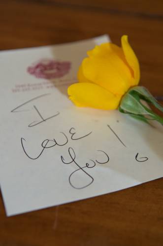 Napa (California) United States Booking Discount booking.com