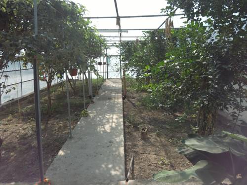 Kharmāʼ Oman Réservation Réduction booking.com