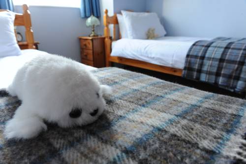 Lerwick Royaume-Uni Réservation Réduction booking.com