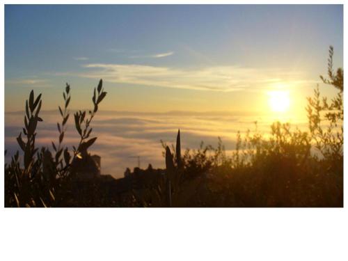 Assisi Italy Booking Discount agoda.com