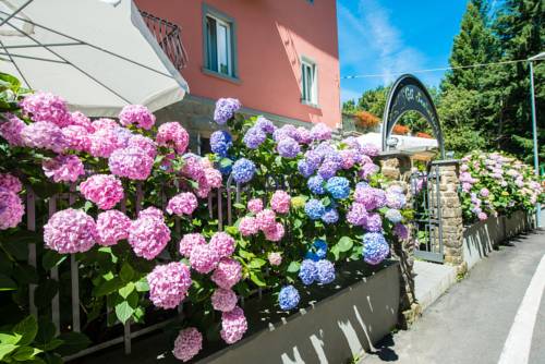 Bivigliano Italie Réservation Réduction booking.com