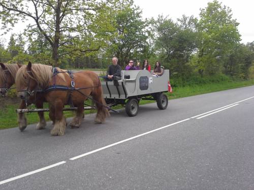 Tinglev Denmark Booking Discount booking.com