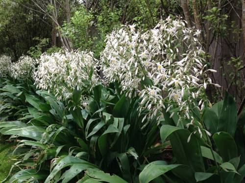 Matakana New Zealand Booking Discount booking.com