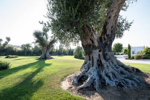 Latiano Italy Booking Discount booking.com