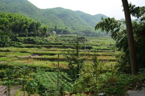 Anji China Booking Discount booking.com