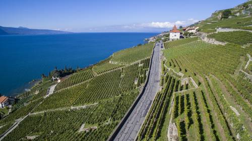 St-Saphorin-Lavaux Suisse Réservation Réduction booking.com