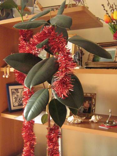 Almaty Kazakhstan Booking Discount booking.com