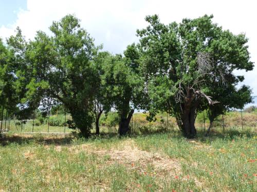 Modica Italy Booking Discount booking.com