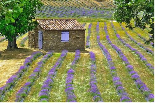Castelo de Vide Portugal Réservation Réduction booking.com