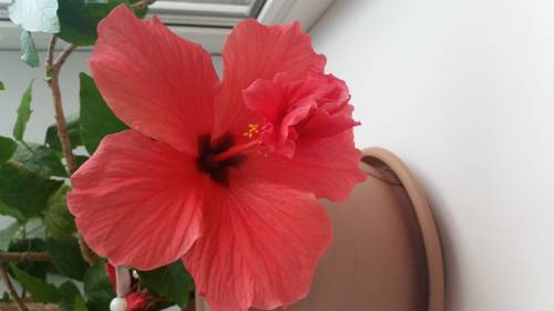 Tcheliabinsk Russie Réservation Réduction booking.com