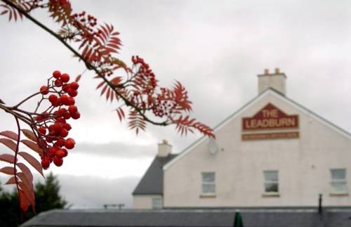 Penicuik United Kingdom Booking Discount booking.com