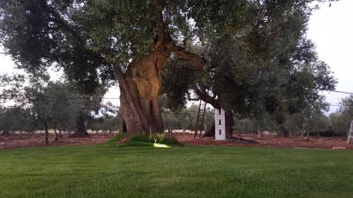 Ostuni Italy Booking Discount booking.com