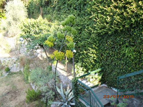 Valsolda Italy Booking Discount booking.com