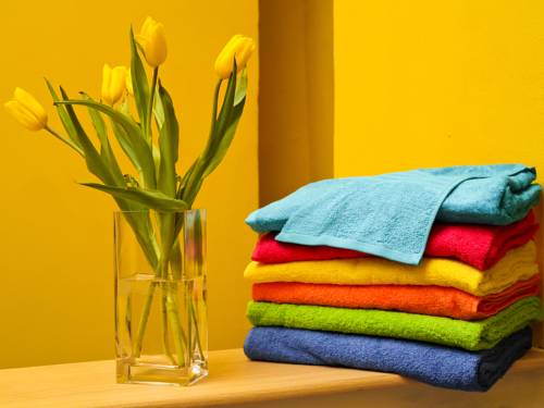 Saint-Petersburg Russia Booking Discount booking.com