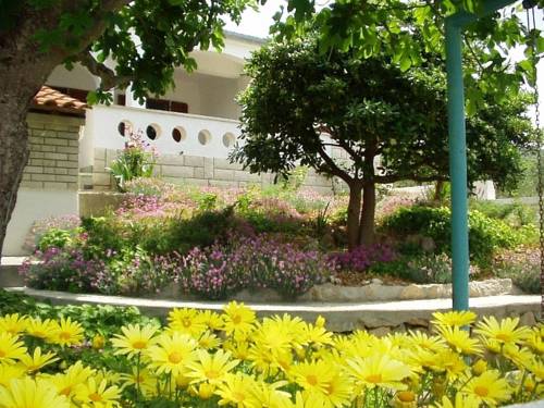 Rivanj Croatie Réservation Réduction booking.com