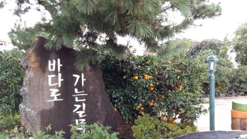 Seogwipo Corée du Sud Réservation Réduction booking.com