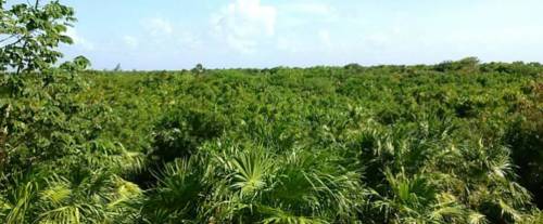 Akumal Mexique Réservation Réduction booking.com