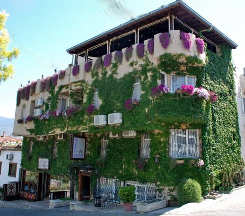 Selcuk(Izmir) Turkey Booking Discount booking.com