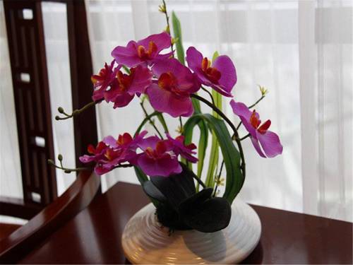 Wangjing China Booking Discount booking.com