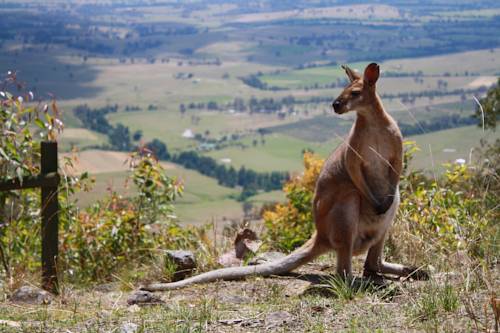 Vacy Australia Booking Discount booking.com