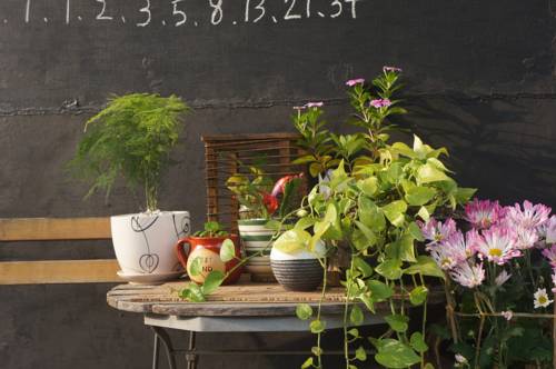 Xiamen China Booking Discount booking.com