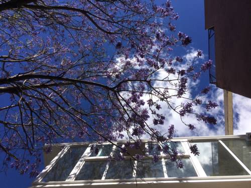 Mexico City Mexico Booking Discount booking.com