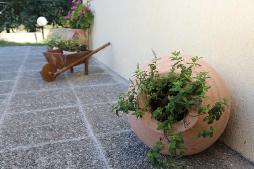 Lesvos Greece Booking Discount agoda.com