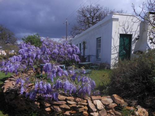 McGregor South Africa Booking Discount booking.com