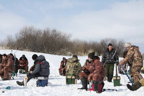 Pribrezhnaya Russia Booking Discount booking.com