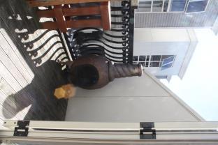 Auckland New Zealand Booking Discount agoda.com