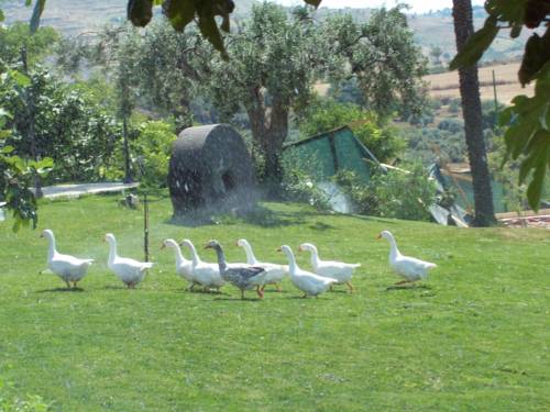 Caltagirone Italie Réservation Réduction booking.com