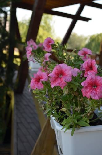 Nyzhnya Khortytsya Ukraine Réservation Réduction booking.com