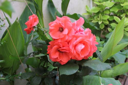 İstanbul Turkey Booking Discount booking.com