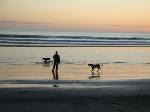 Papatotara New Zealand Booking Discount booking.com