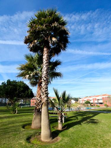 Fão Portugal Réservation Réduction booking.com