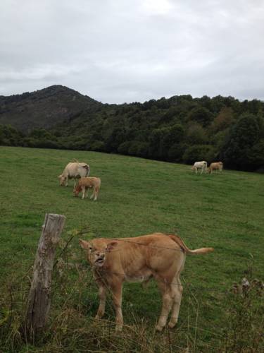 Viscarret-Guerendiáin Spain Booking Discount booking.com