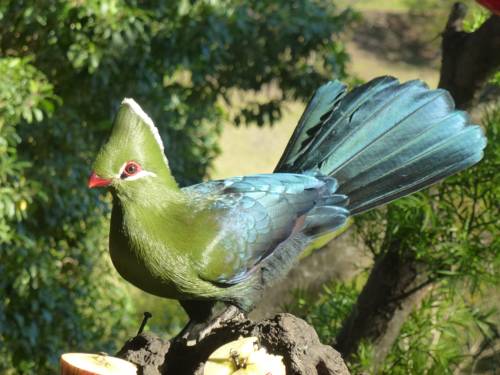 Les rochers Afrique du Sud Réservation Réduction booking.com