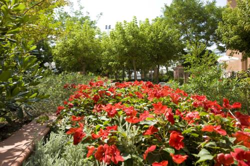 Cattolica Italie Réservation Réduction booking.com