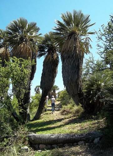 Papagayos Argentina Booking Discount booking.com