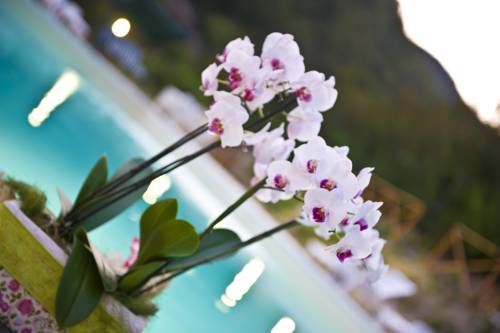 Mercatello sul Metauro Italie Réservation Réduction booking.com