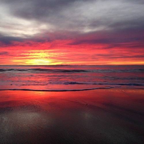 Rosebud Australie Réservation Réduction booking.com