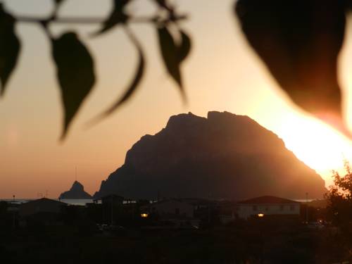 Porto San Paolo Italy Booking Discount booking.com