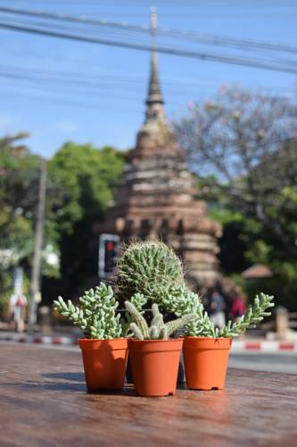 Chiang Mai Thaïlande Réservation Réduction booking.com